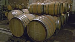 Export di vino, quali scenari