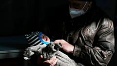 Egy szétszakadt család két tagja az ukrajnai Lvivből az olasz fővárosba menekült