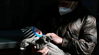 Egy szétszakadt család két tagja az ukrajnai Lvivből az olasz fővárosba menekült