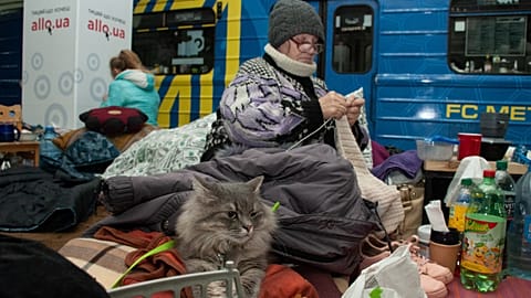 Diese Frau hat sich samt Katze in der U-Bahnhaltestelle eingerichtet