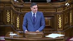 Comparecencia de Pedro Sánchez, presidente del Gobierno de España, ante el Congreso de los Diputados, en Madrid (España).  