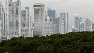 Mangrovenwald vor der Küstenlinie von Panama-Stadt, 09.02.2015