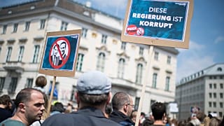 The private investigator's video led to the collapse of Austria's coalition government in 2019.