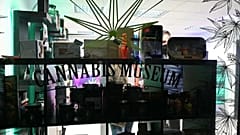 Rituals, healing or inebriation, nutrition, clothing, fuel or construction material, the millenial history and many uses of cannabis are on display in Croatia's first museum.