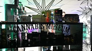 Rituals, healing or inebriation, nutrition, clothing, fuel or construction material, the millenial history and many uses of cannabis are on display in Croatia's first museum.