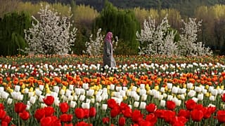 حديقة إنديرا غاندي