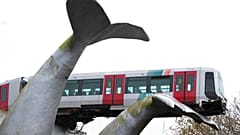 Hollanda'da meydana gelen tren kazası (arşiv)