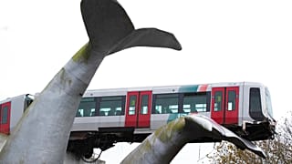 Hollanda'da meydana gelen tren kazası (arşiv)