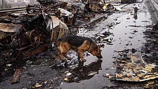 Nach dem Massaker in Butscha