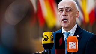 Gürcistan Dışişleri Bakanı David Zalkaliani