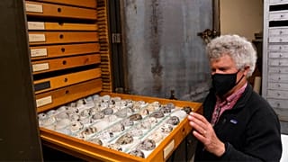 John Bates, Curator of the Field Museum's Bird Division