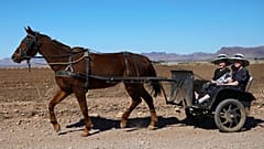 Mennoniten in Cuauhtémoc, Mexiko am 31.3.2022
