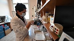 La Géorgie est à l'avant-garde de la recherche sur la résistance des bactéries aux antibiotiques