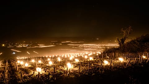 تاکستانی در فرانسه
