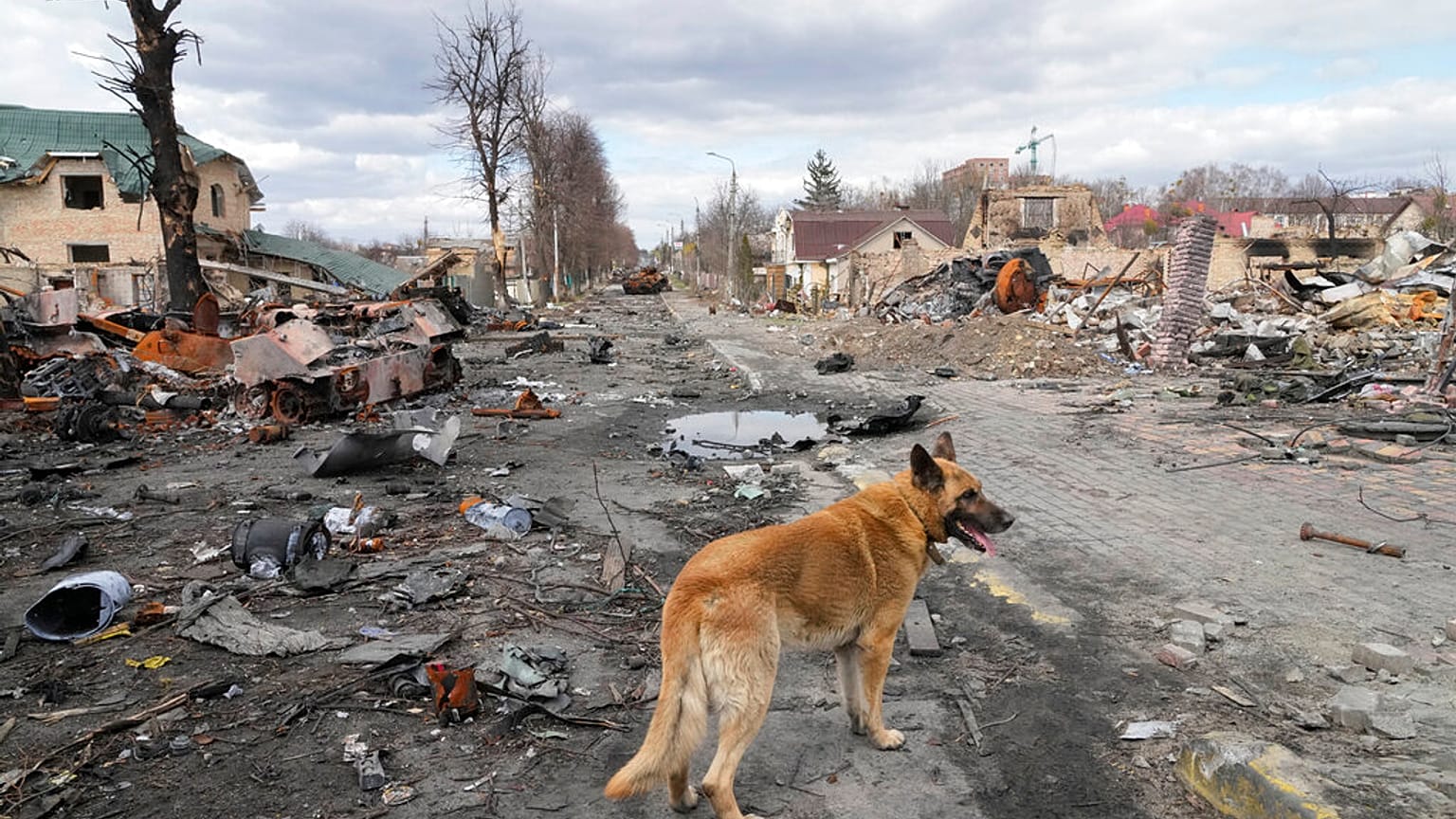 Destroyed houses and Russian military vehicles, in Bucha close to Kyiv, Ukraine