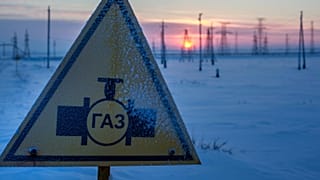 The EU is still debating whether to boycott imports of Russian energy.