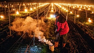 Wine grower Patrick Clavelin repairs a large anti-frost candle in a vineyard of the Jura region, central France. April 2022