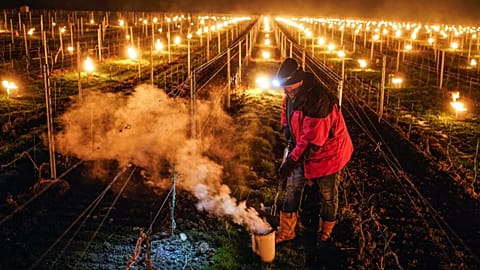 Wine grower Patrick Clavelin repairs a large anti-frost candle in a vineyard of the Jura region, central France. April 2022