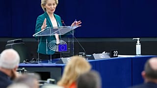 Председатель Еврокомиссии Урсула фон дер Ляйен