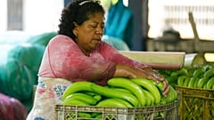 The war in Ukraine has dealt a heavy blow to Ecuadorian banana trade
