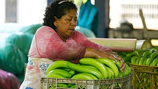 The war in Ukraine has dealt a heavy blow to Ecuadorian banana trade