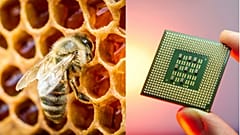 Wissenschaftler vermuten, dass Bienen für unsere Gesellschaft wichtiger sind, als wir uns vorstellen können - und sie schmieden Hightech-Pläne, um ihren Honig zu nutzen.