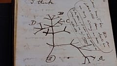 دستنوشته داروین
