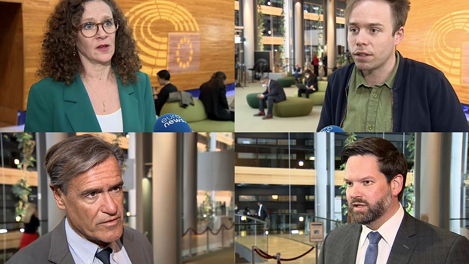 Quattro deputati europei rispondono alle domande di Euronews