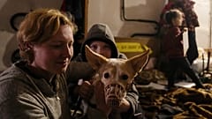 Жители Чернигова со своими домашними питомцами