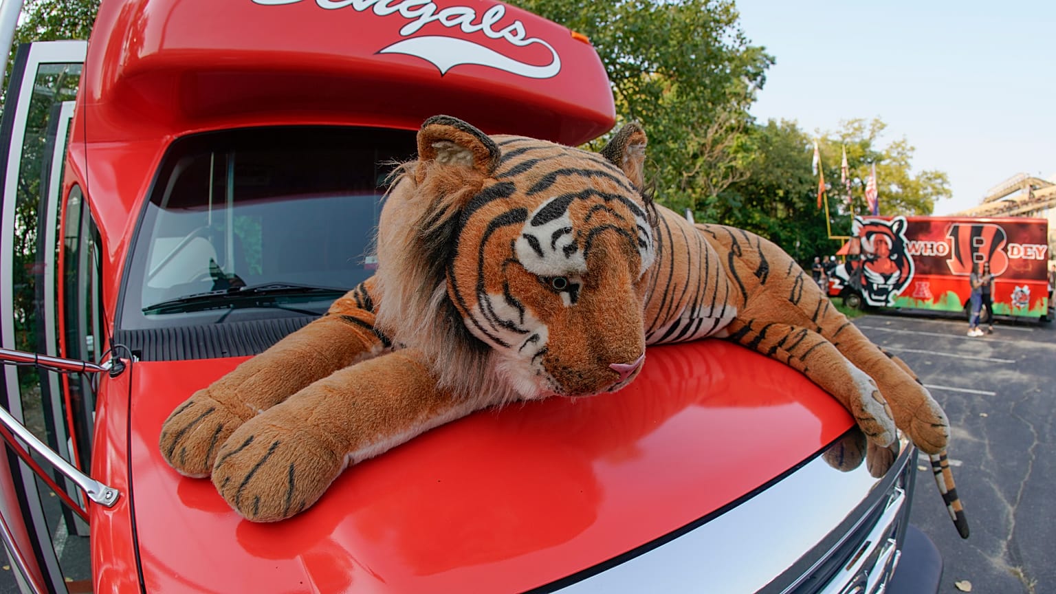 Bengal kaplanı