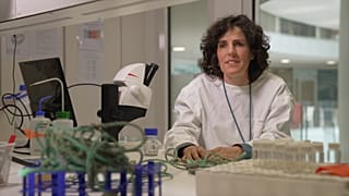 La grave amenaza de los microplásticos para los océanos y la salud humana