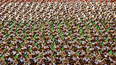 الحرس الثوري الإيراني 