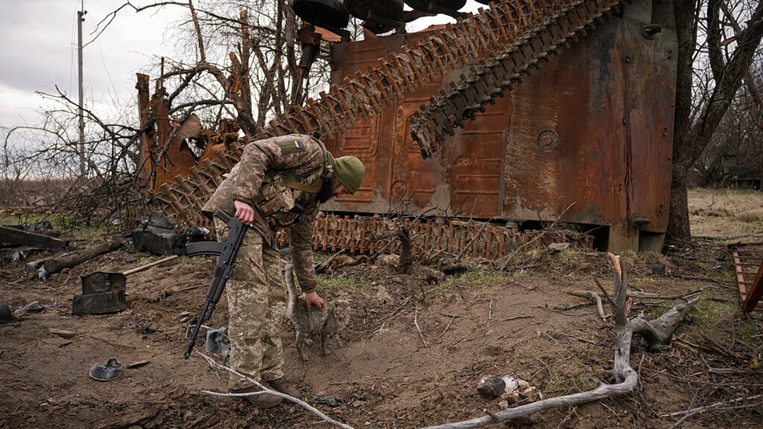 Un militaire ukrainien caresse un chat à côté d'un véhicule de combat russe détruit dans le village d'Andriïvka, en Ukraine, mercredi 6 avril 2022.