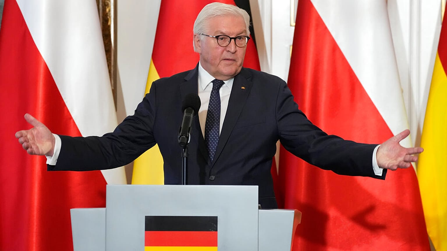 Almanya Cumhurbaşkanı Frank-Walter Steinmeier