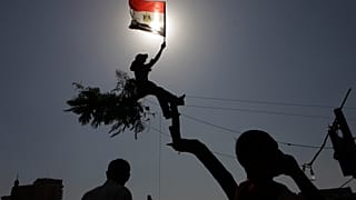 متظاهرة تلوح بالعلم المصري فوق شجرة في ميدان التحرير