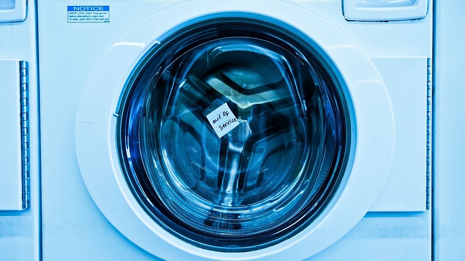 عکس تزئینی است
