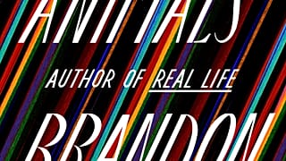 The win is Brandon Taylor's first, although he was nominated for the Booker Prize for his debut novel 'Real Life'