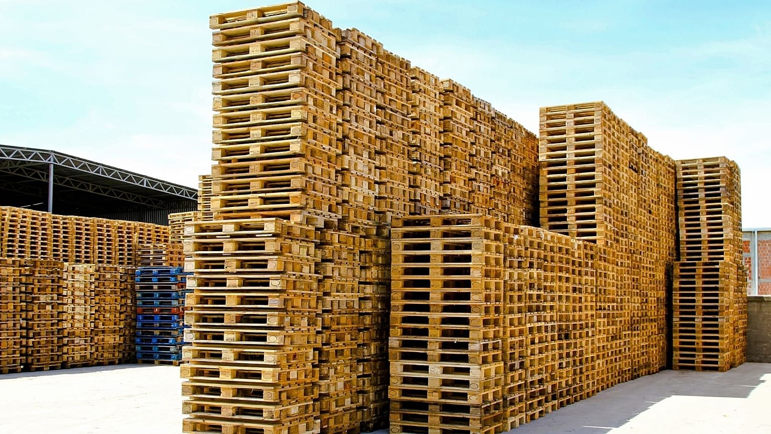 Ukraine, Russia and Belarus were key to Europe’s supply of wooden pallets. The war and sanctions upended the market.