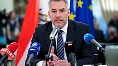 Карл Нехаммер на пресс-конференции после встречи с Владимиром Путиным