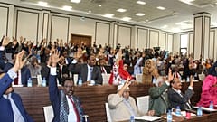 Somali Meclisi (arşiv)