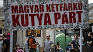 El líder del partido satírico húngaro Magyar Kétfarkú Kutya Párt, Gergely Kovács, en el centro de la imagen, en la sede de la formación política en Budapest.