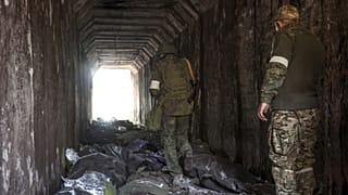 Donyecki orosz fegyveresek nézik ukrán katonák holttesteit Mariupolban