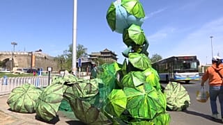 Earth Day