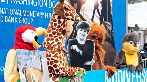 With a cardboard cutout of International Monetary Fund Managing Director Kristalina Georgieva, costumed environmental activists protested in front of the IMF building.