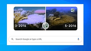 A korralok pusztulására figyelmeztet a Google a Föld napján