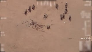 Aerial shot.