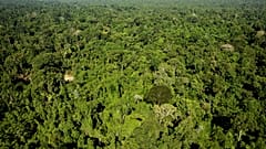 Floresta Amazónica
