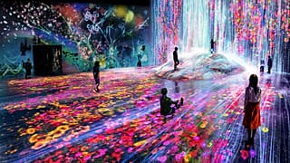Borderless exhibition by teamLab