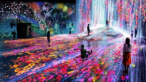 Borderless exhibition by teamLab
