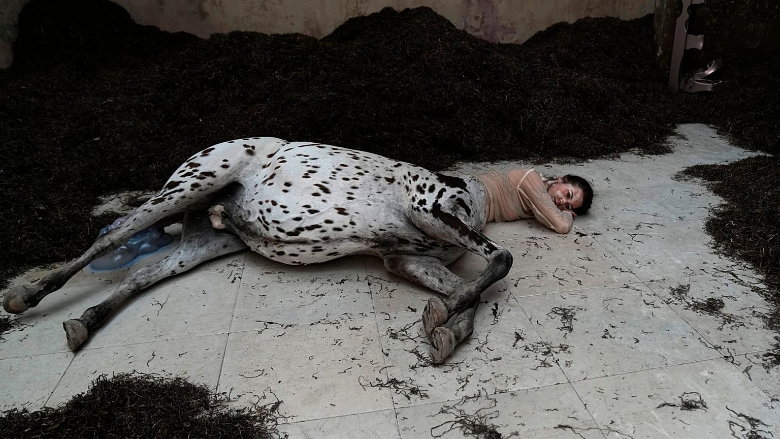 A view of an installation part of "We Walked the Earth" by artist Uffe Isolotto at Denmark's pavilion during the 59th Biennale of Arts exhibition in Venice, Italy.